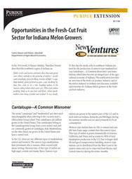 Opportunities in the Fresh-Cut Fruit Sector for Indiana Melon Growers
